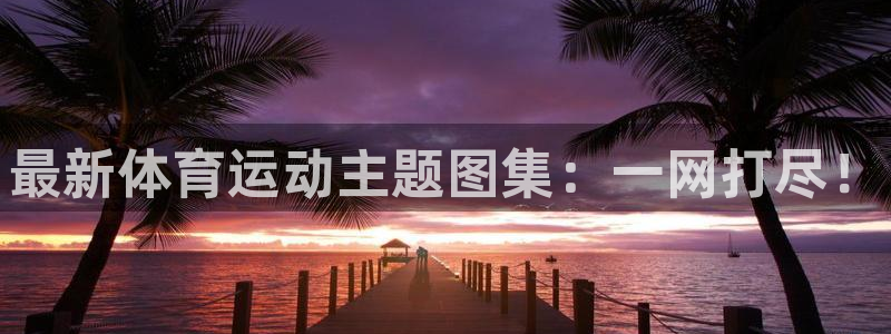 欧亿体育官方正版app集团E.ON：最新体育运动主题