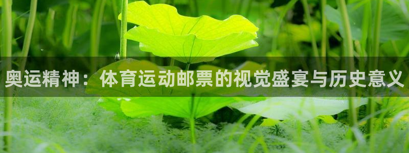 oety欧亿体育官网下载招商电话号码是多少啊：奥运精
