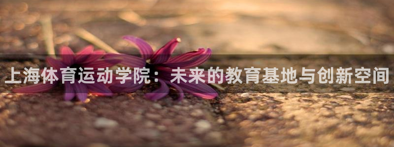 oety欧亿体育官网下载招商电话：上海体育运动学院：