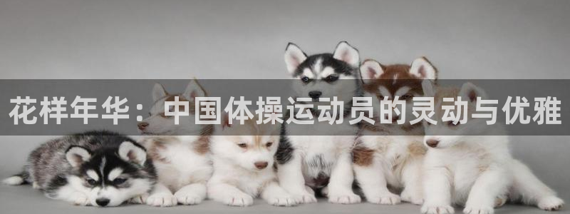 欧亿体育官方正版app开户：花样年华：中国体操运动员的灵动与