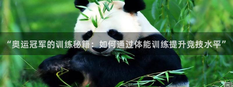 欧亿体育官方正版app娱乐网站：“奥运冠军的训练秘籍