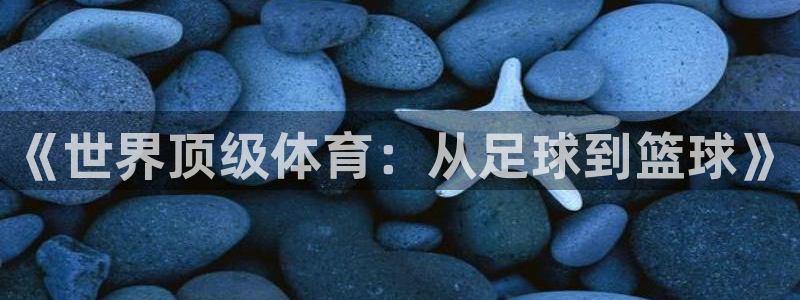 欧亿体育官方正版app代理