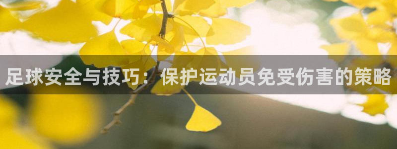 欧亿体育官方正版app娱乐网站：足球安全与技巧：保护运动员免