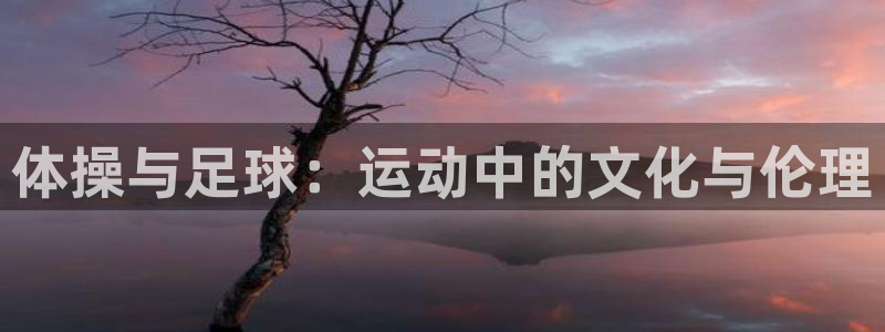 oety欧亿体育官网下载平台是正规平台吗安全吗：体操与足球：