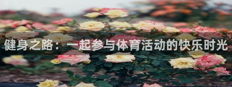 oety欧亿体育官网下载招商电话地址查询：健身之路：一起参与