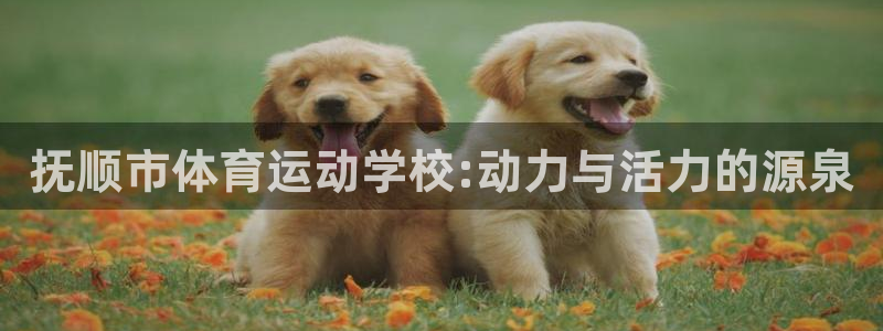 oety欧亿体育官网下载招商电话号码是多少：抚顺市体育运动学