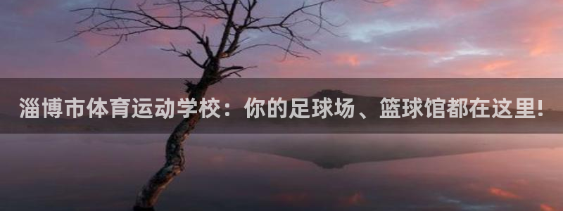 欧亿体育官方正版app娱乐首页官网下载：淄博市体育运动学校：