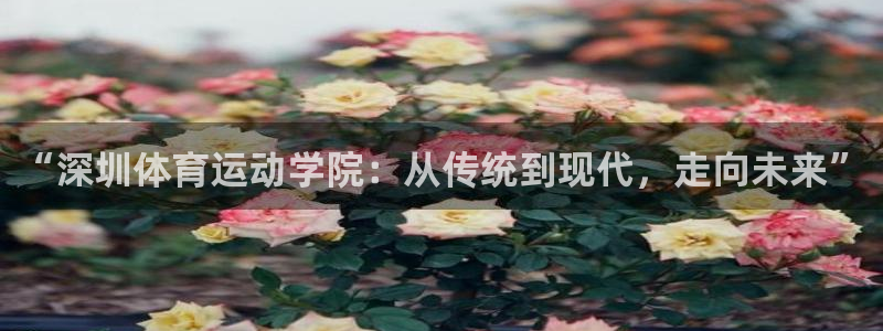 欧亿体育官方正版app集团官网网址：“深圳体育运动学