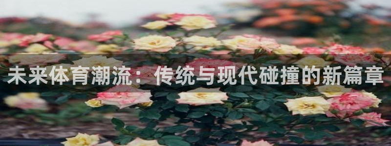 oety欧亿体育：未来体育潮流：传统