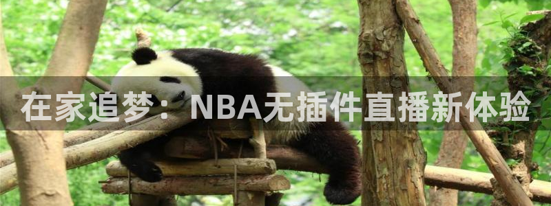 919直播看球：在家追梦：NBA无插件直播新体验
