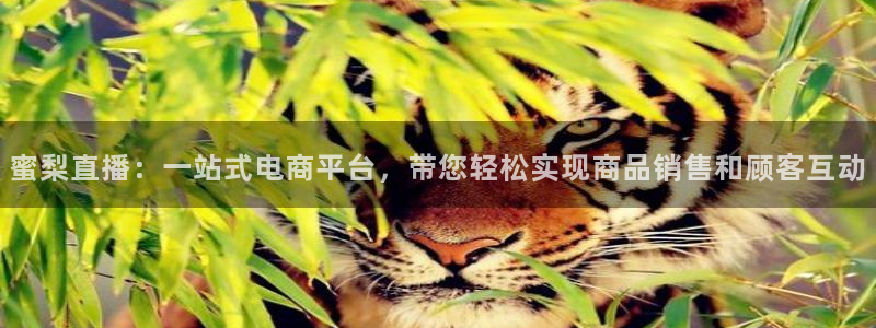 919篮球直播：蜜梨直播：一站式电商平台，带您轻松实现商品销售和顾客互动