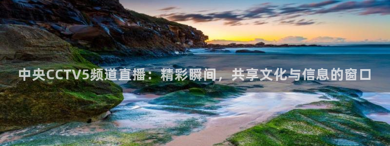 919体育直播在线观看：中央CCTV5频道直播：精彩瞬间，共享文化与信息的窗口