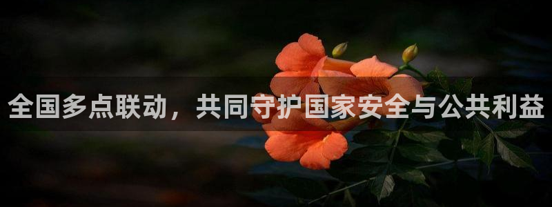 919 直播：全国多点联动，共同守护国家安全与公共利益