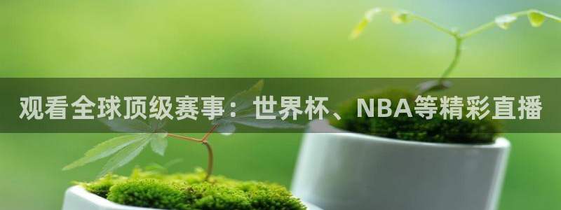 919体育直播间：观看全球顶级赛事：世界杯、NBA等精彩直播