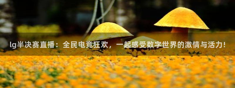 919nba直播：lg半决赛直播：全民电竞狂欢，一起感受数字世界的激情与活力!