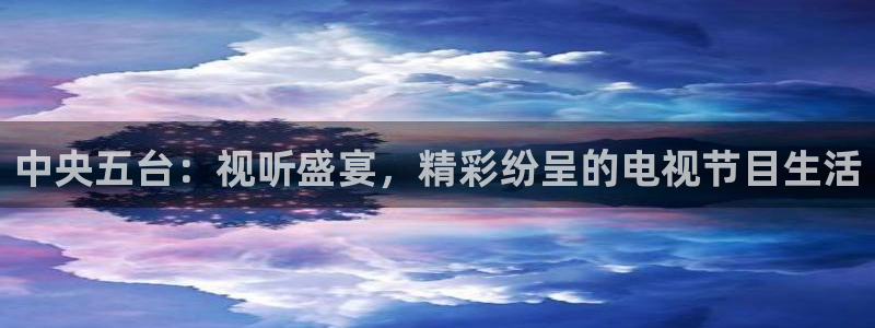 919直播看球 篮球比赛：中央五台：视听盛宴，精彩纷呈的电视节目生活