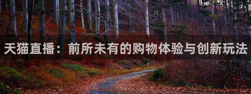 919看球直播app：天猫直播：前所未有的购物体验与创新玩法