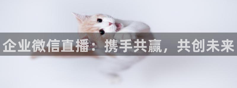 919直播平台官方网站：企业微信直播：携手共赢，共创未来